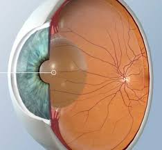 What is the 3D Eye-vatar and how is it used in treatment planning?